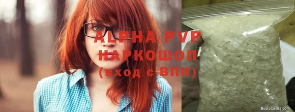 индика Богданович