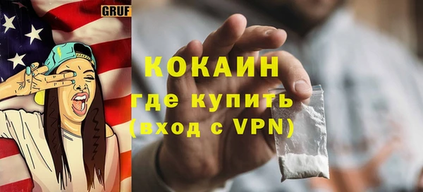 индика Богданович