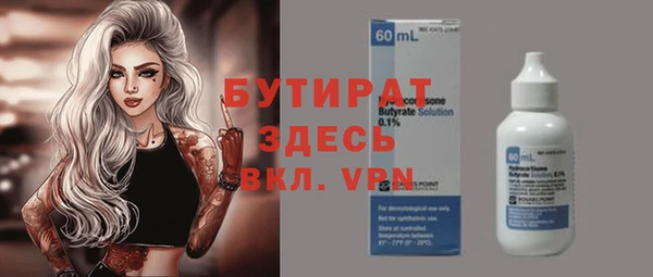 индика Богданович