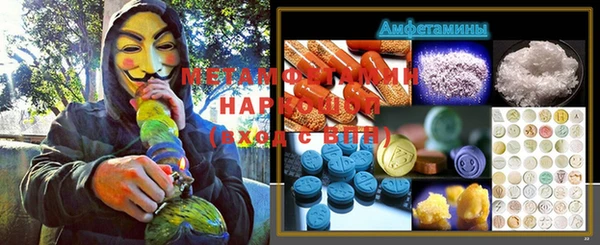 индика Богданович