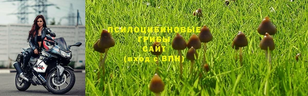 мескалин Богородицк