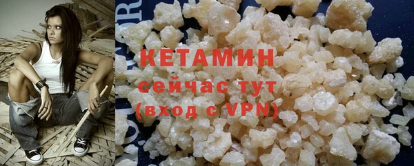 индика Богданович