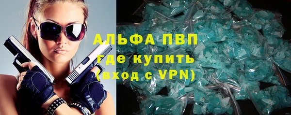 индика Богданович