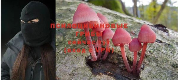 индика Богданович