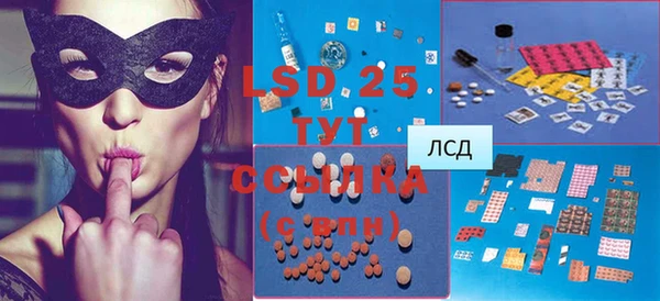 индика Богданович