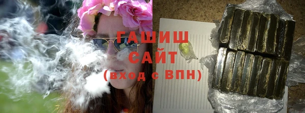 индика Богданович