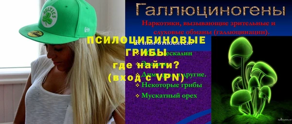дмт Богородск