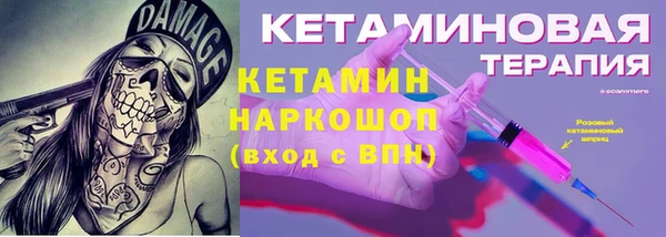 индика Богданович
